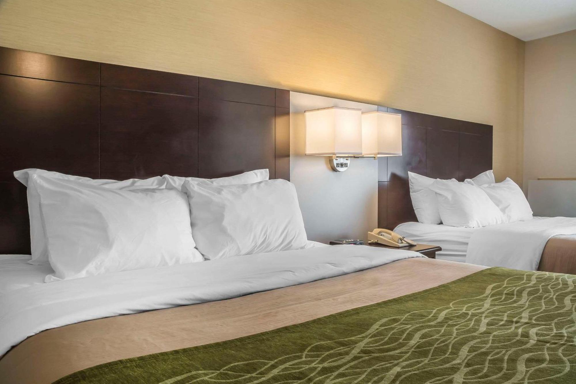 Comfort Inn Chatham-Kent Zewnętrze zdjęcie