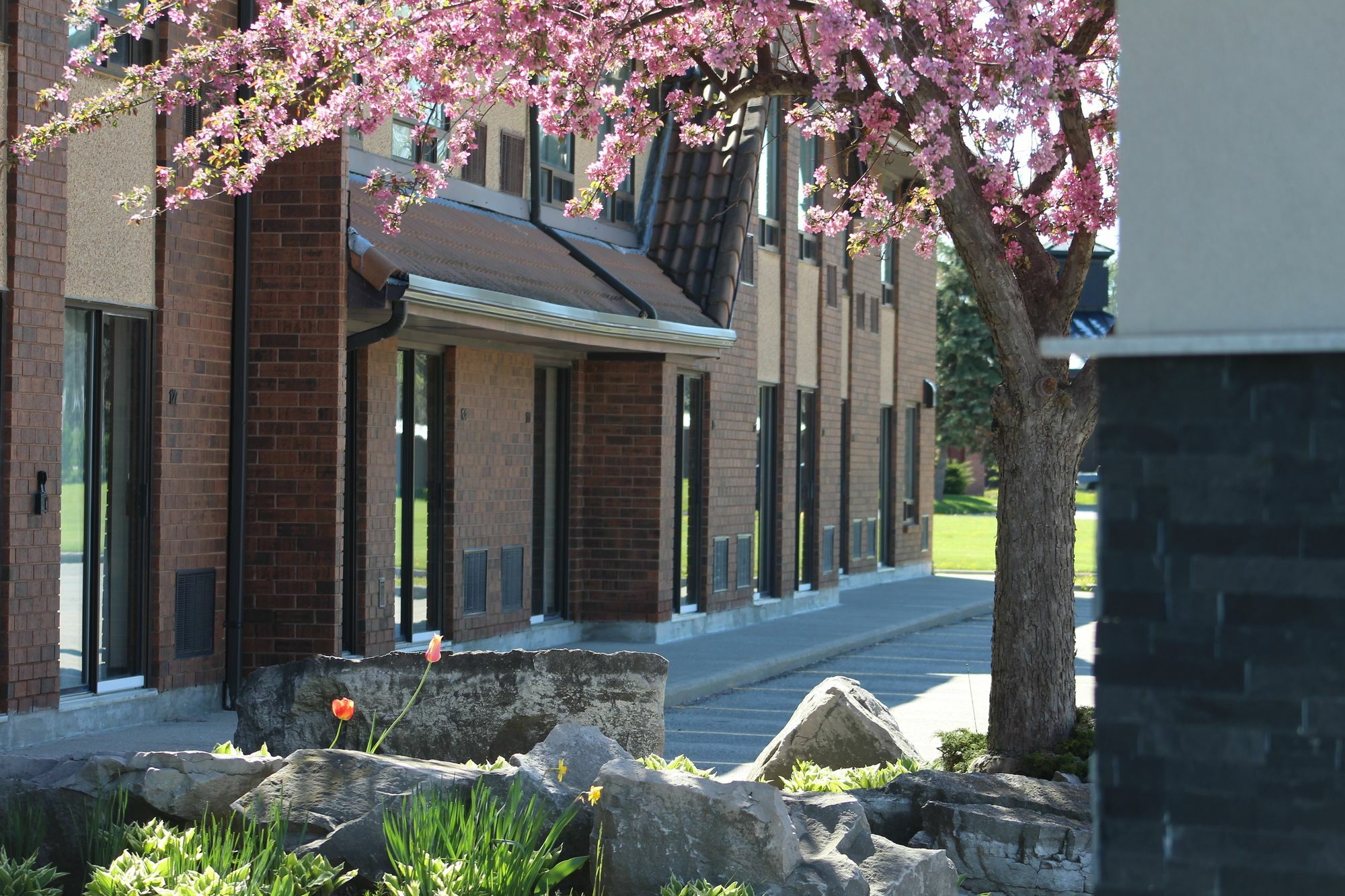 Comfort Inn Chatham-Kent Zewnętrze zdjęcie